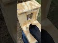 crow using the crow training box