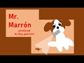 Mr marron intro seacion 2