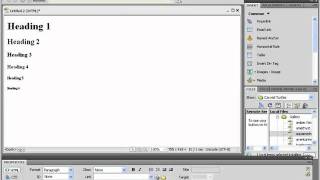 Celebrity Dreamweaver CS5 Tutorial Working With Text Adobe Training Lesson 3.1 Wealth
