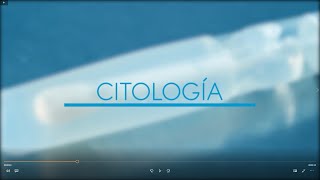 3er  Toma De Muestra Citologia Canino Laboratorio Lact