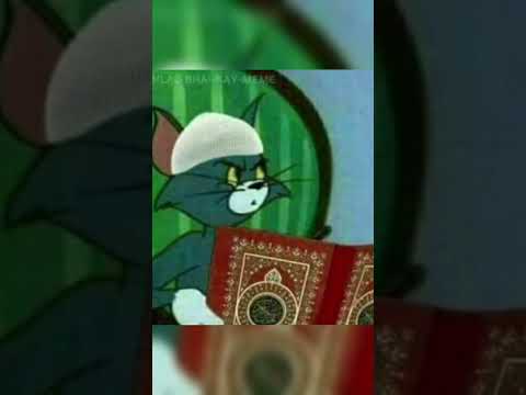 صور الشيخ توم اصطوري