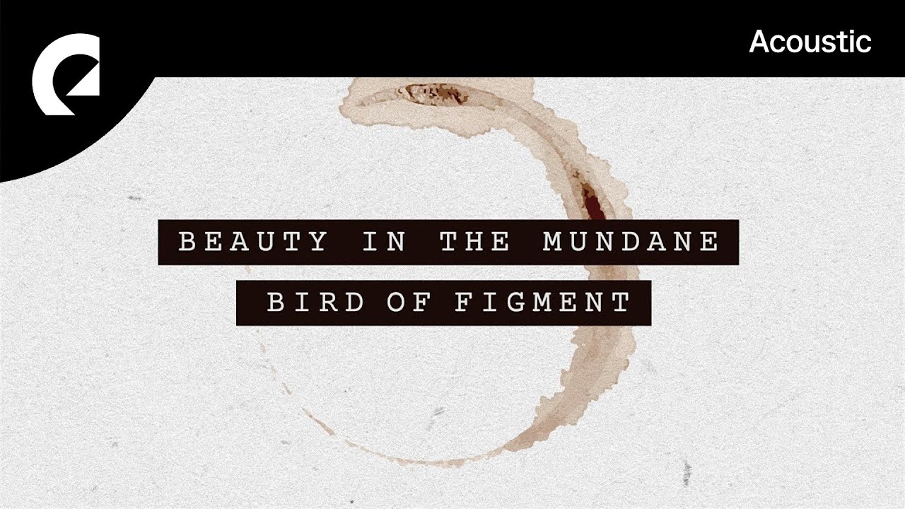 Bird Of Figment feat Cody Francis   Beauty In The Mundane