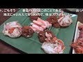 【コメ付き】京都のお寿司屋さんでハイボール飲んでみた【アル中カラカラ】