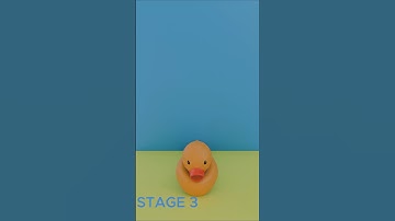 The Science Behind Falling Ducks (Blender 3D Simulation)