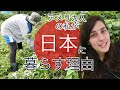 アメリカ人の私が「日本に暮らす理由」|Why I Live In Japan