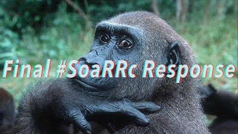 Final #SoarRc Response - Huf @neiiaf @SoaRKatz @Crudes @SoaRGeneralx @SoaRMakz (Read Desc)