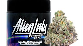 TERPY TIME TASTE BUDS !!!! - NEW DROP !!!! - PERMANENT SHADE - BY - ALIEN LABS @alienlabstv #2025   