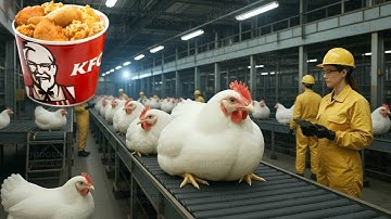 Full Process: Inside the KFC Factory! From Fresh Chicken to Crispy Perfection