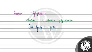 Which of the following organisms are known as chief producers in the oceans?....