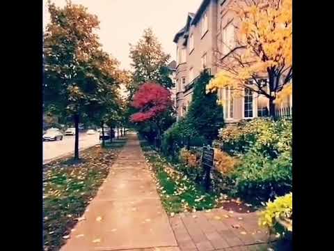 صابر الرباعي ياما عملنا حساب