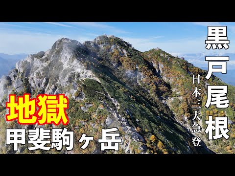 山河慟哭とは 神羅万象チョコ 公式ポータル｜神羅無限書庫｜ゼクスファクター第4弾