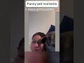 Daily funny pets 60