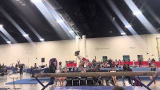 Layla Bronze Beam 9.725 States 2025