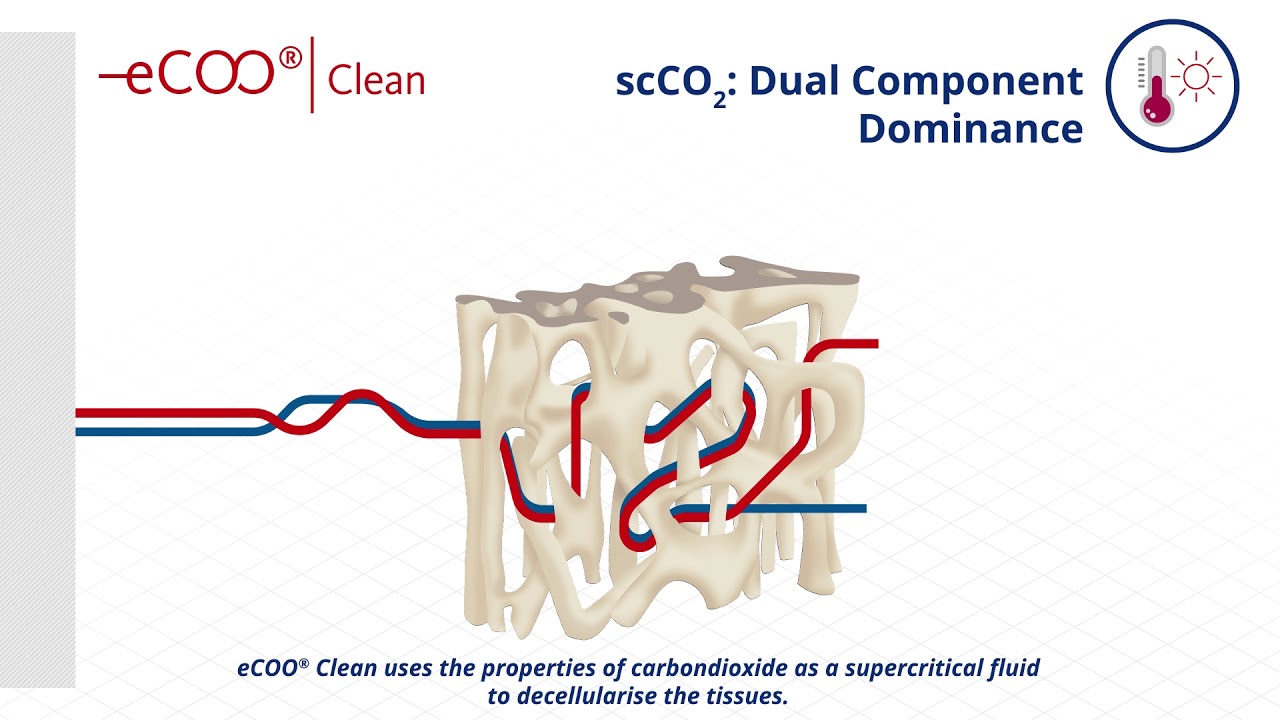 Leader Biomedical's proprietary eCOO® Technology - YouTube