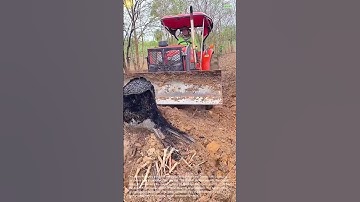 Tractor Removing Tree Stump: Heavy Equipment Clearing Land
