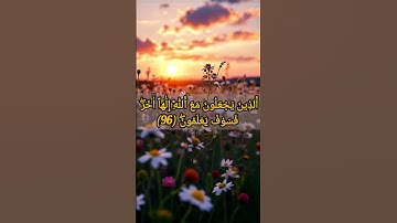 😢 Feeling down? اسمع تلاوة تهز القلب من هزاع البلوشي 🕊️