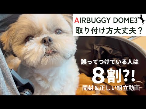 【検証 女性1人でエアバギー組立できる?】シーズーはゆるーく見守り担当!組み立てのコツやよくある注意点とは?shihtzu watches mom's building airbuggy dome3