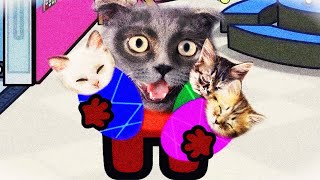 Distraction dance animation Cats version All stories Non stop Big Compilation Top 20 Videos