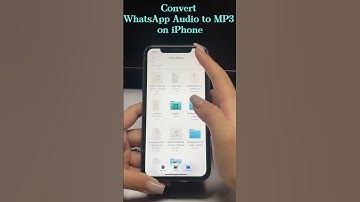 Convert WhatsApp Audio to MP3 on iPhone! 🎧