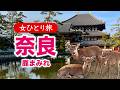 【女ひとり旅】奈良で鹿まみれ♡ 世界遺産 2026.02【国内旅行】