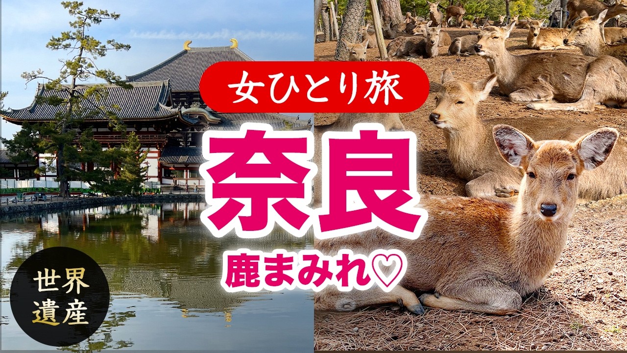 【女ひとり旅】奈良で鹿まみれ♡ 世界遺産 2026.02【国内旅行】