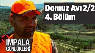 Domuz Avı 2 /2 impala Günlükleri 4. Bölüm Yaban Tv wild boar hunting