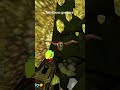 Worm boss fight yay #zombonk #vr #peak #w #bossfight #goop #trending #viral #fyp #capcut #worm #fy