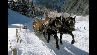 Samuel H. - Winter Sleigh Ride (2020)