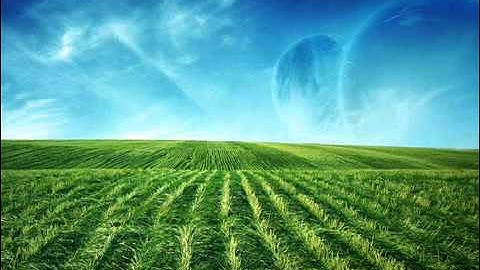 سورة عبس الشيخ سعد الغامدي