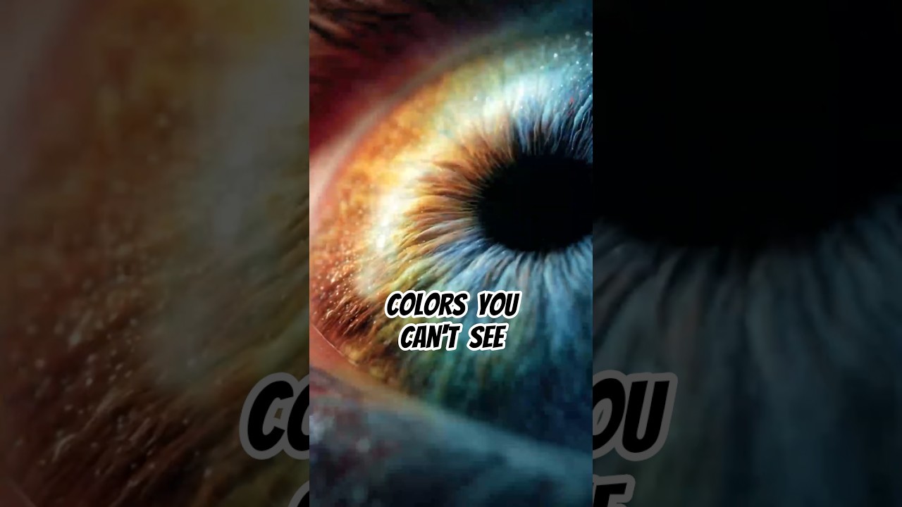 Animals That Can See Colors Humans Can’t 👀