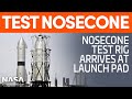 Test Nosecone arrives at Launch Site - RoboDogs on the Prowl | SpaceX Boca Chica