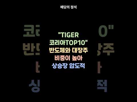 💰TIGER 코리아TOP10
