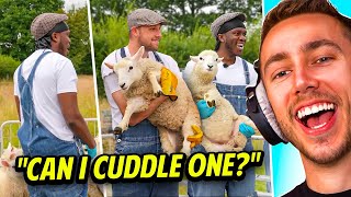 The Most Wholesome Sidemen Moments