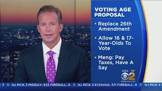 Queens Lawmaker Wants To Lower Voting Age