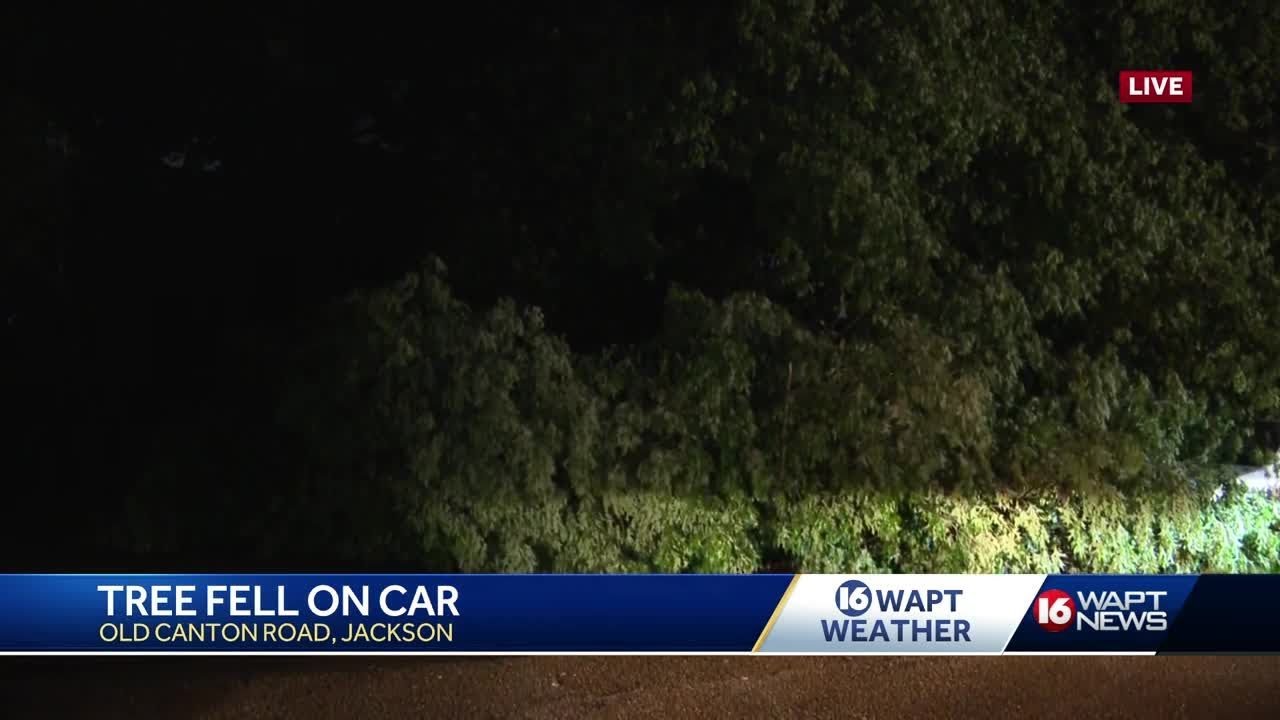 Storms bring down trees, leave thousands in the dark - YouTube