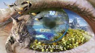 CANTARES chords