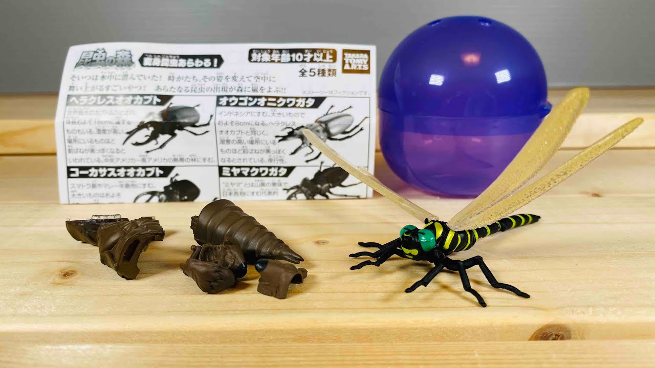 オニヤンマとコーカサス Insect Forest Gacha: The Dragonfly Transforms! A Steal for 200 Yen