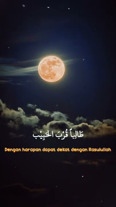 Law kana bainanal habib lirik / lirik Arab & terjamaah