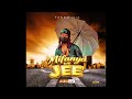 Fabro Mix Mifanya We Jee Audio Officiel 