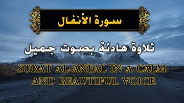 سورة الانفال وديع اليمني Surat Al-Anfal