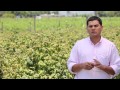Proyecto fotovoltaico para riego en Teno, Región del Maule