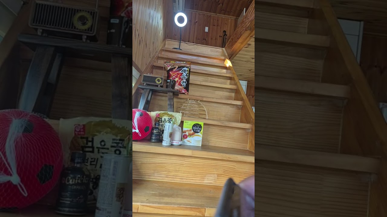 베짱이의 즐거움 고뇌 치유 힐링 라이브 하이라이트