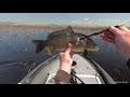 Охота на сазана - 3 CrossBow Fishing
