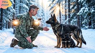 A Mother Dog Stood in the Snow With Two Puppies—And a Navy SEAL Who Had Given Up Finally Stopped