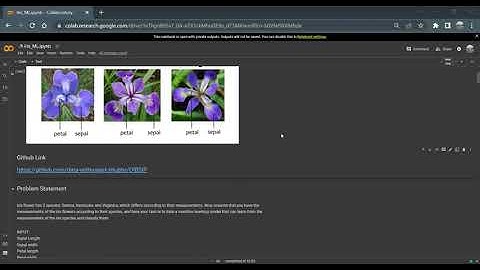 Iris Flower Classification Using ML @oasisinfobyte  #internship #codeandcombat