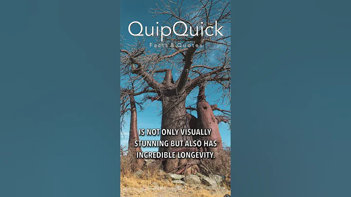 The Amazing Baobab: Africa’s Tree of Life #shorts #quote #fact #baobab