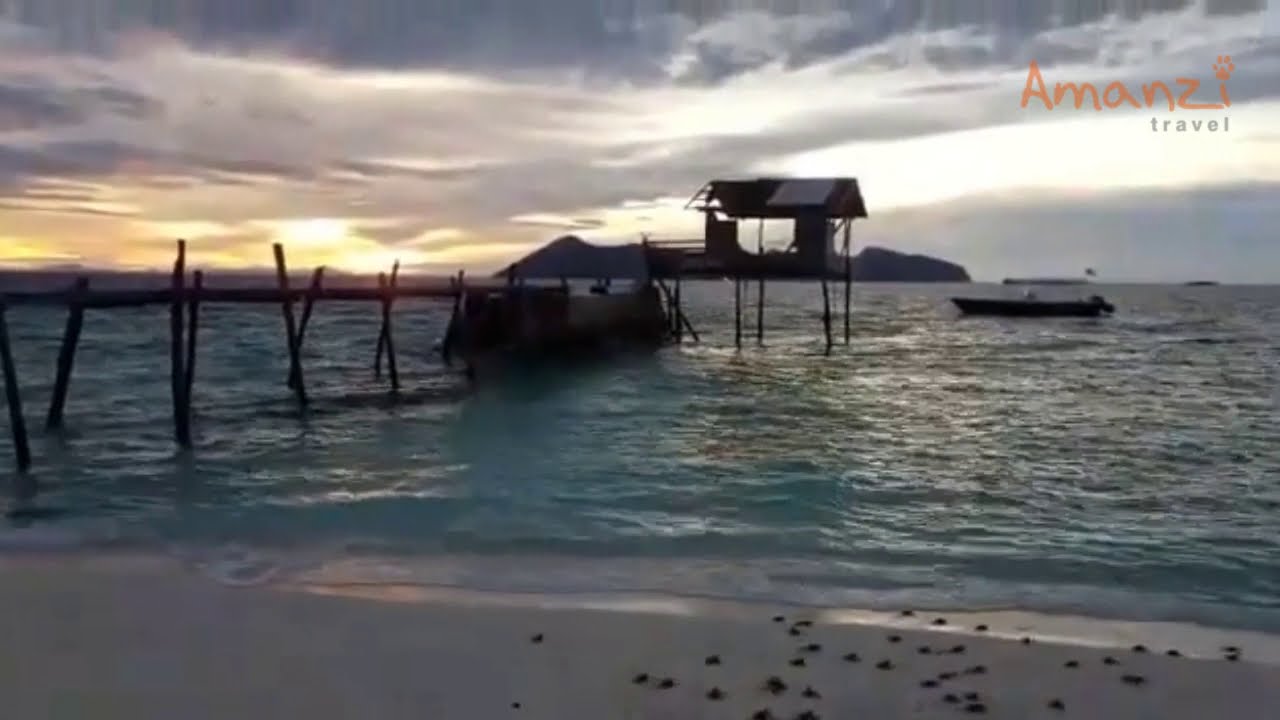 Borneo Marine and Turtle Conservation Project