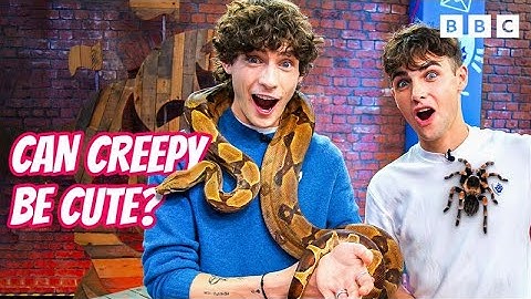 Would YOU hold one of these?!