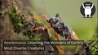 Beetlemania: Unveiling the Wonders of Earth's Most Diverse Creatures