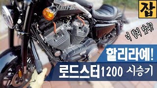 [시승기] 제가 할리를 다 타보는군요 / 고급취향 육성 시승기 [모토잡스]